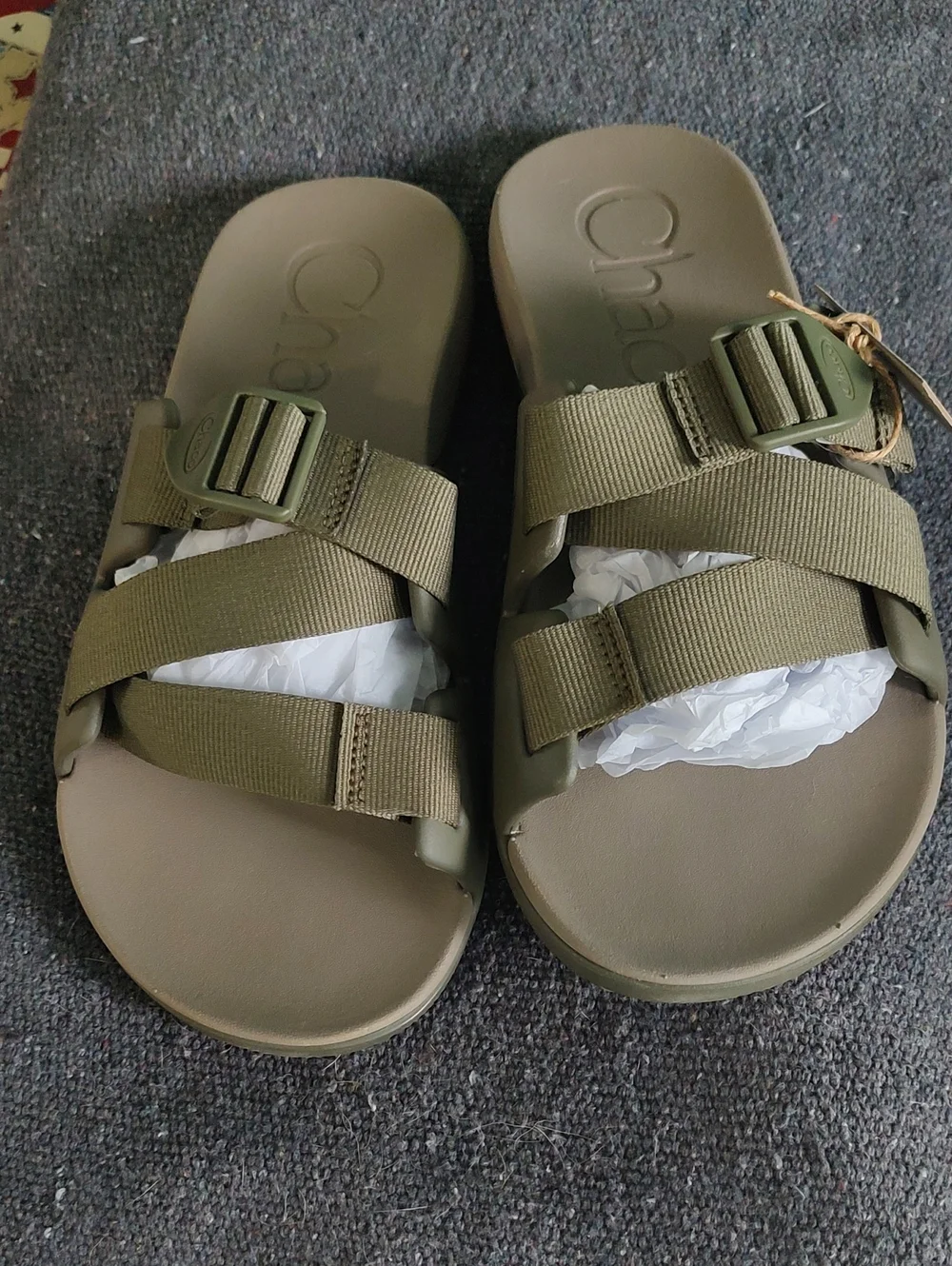 Chaco Fossil Chillios Slide in Olive